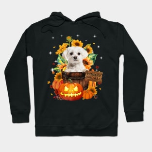 White Maltese Halloween Pumpkin Fall Bucket Hoodie